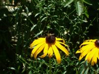 View photo in a new window