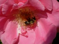 View photo in a new window