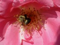 View photo in a new window