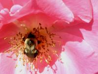 View photo in a new window