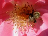 View photo in a new window