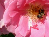 View photo in a new window