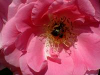 View photo in a new window