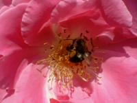 View photo in a new window