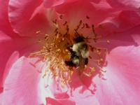 View photo in a new window