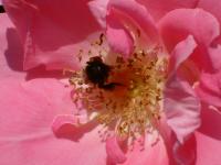 View photo in a new window