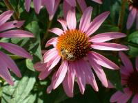 View photo in a new window