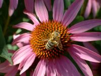 View photo in a new window