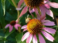 View photo in a new window