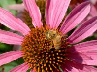 View photo in a new window