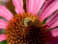 View photo in a new window