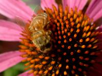 View photo in a new window