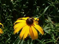 View photo in a new window