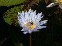 View photo in a new window