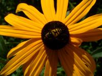 View photo in a new window