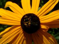 View photo in a new window