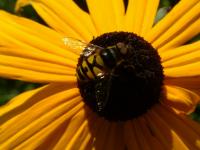 View photo in a new window