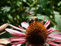 View photo in a new window