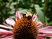 View photo in a new window