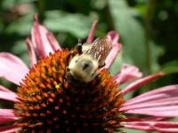 View photo in a new window