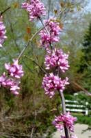 View photo in a new window