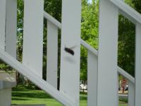 View photo in a new window