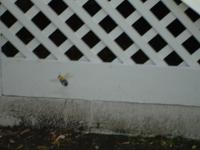 View photo in a new window