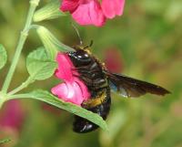 View photo in a new window