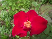 View photo in a new window