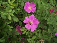 View photo in a new window