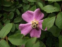 View photo in a new window