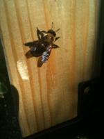 View photo in a new window