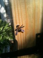 View photo in a new window