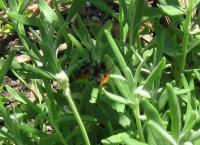 View photo in a new window