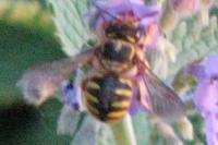 View photo in a new window