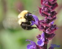 View photo in a new window