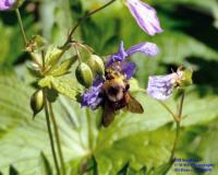 View photo in a new window