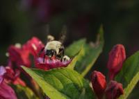 View photo in a new window