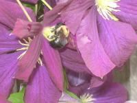 View photo in a new window