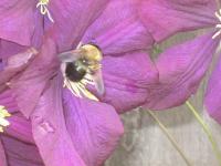 View photo in a new window