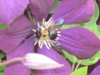 View photo in a new window