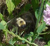 View photo in a new window