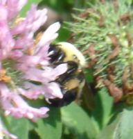 View photo in a new window