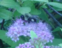 View photo in a new window