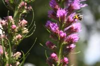 View photo in a new window