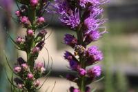 View photo in a new window