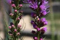 View photo in a new window