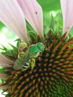 View photo in a new window