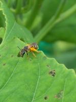 View photo in a new window