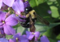 View photo in a new window